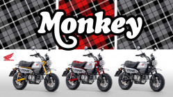 MONKEY
